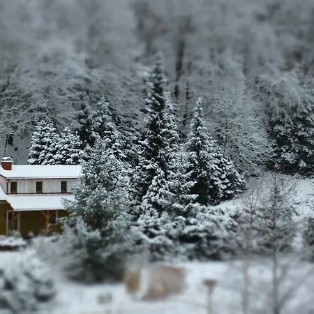 Waldhaus Bielatal Rosenthal-Bielatal