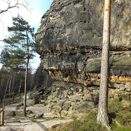 Дом отдыха Waldhaus Bielatal Rosenthal-Bielatal