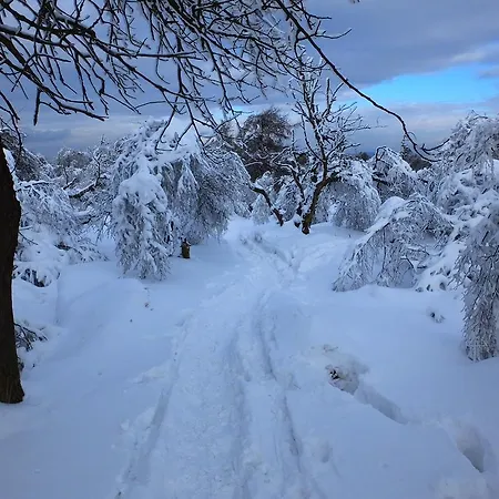 Дом отдыха Waldhaus Bielatal *