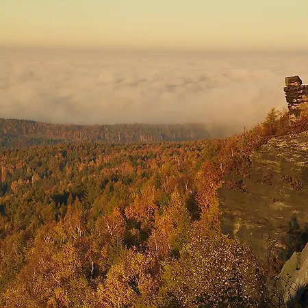 Дом отдыха Waldhaus Bielatal