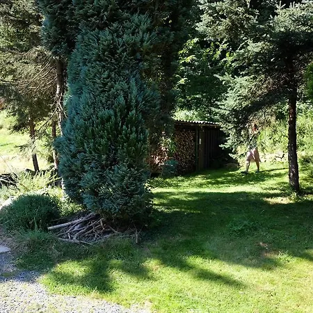 Waldhaus Bielatal Ferienhaus *